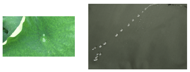 jinnian金年会医用纺织